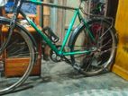 Cycle for sell