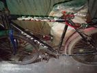 Bicycle for sell