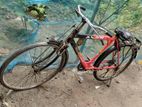 Bicycle for sell