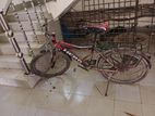 Bicycle for sell
