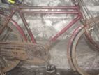 Bicyle Sell