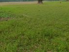 Land for sale
