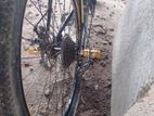 Duranta Bicycle for sale