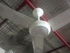 ভালো কন্ডিশনের সিলিং ফ্যান – কম দামে বিক্রি