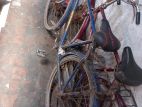 Bicycle for sell