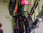 Duranta Bicycle for sale