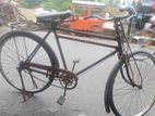 Bicycle for sell