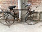 Bicycle Sell