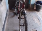 Bicycle For Sell