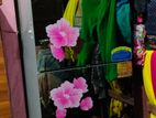 Fridge for sell