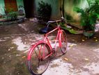 Bicycle for sell