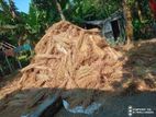 বিচুলি বিক্রয় করা হবে