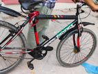 Bicycle for sell