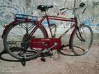 Bicycle for sell