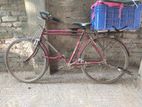 Bicycle for sell