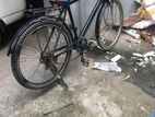 Bicycle For Sell