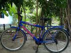 Bicycle for sale