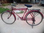 Bicycle for Sale