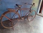 Bicycle For Sell