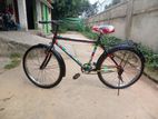 Bicycle for sall