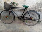 Bicycle for sell.