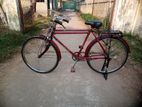 Bicycle for sell