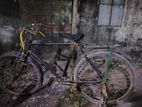 Bicycle for sell