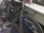 Bicycle For Sell