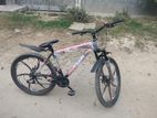 Bicycle for Sell