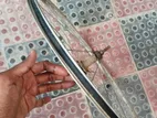 Bicycle Rim