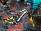 Bicycle Sale