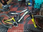 Bicycle Sale