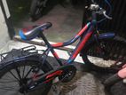 Bicycle for sell