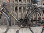 Bicycle sale (full fresh condition)
