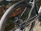 Phoenix Bicycle for sale