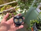 বিড়ালচোখী LED ফগলাইট