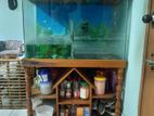 aquarium sell