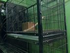 Big Bird Cage (বড় পাখির খাঁচা)