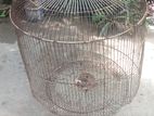 Big bird cage for sale