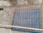 Big Cage 24x18 Size