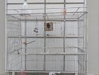 Big Colored Cage with Birds