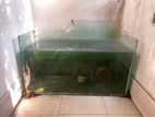 Big Size Aquarium