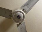 Big Size Beauty Ceiling Fan