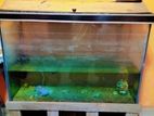 Big Size Fish Aquarium