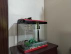 Big Size Glass Aquarium