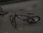 Bicycle for sell