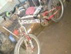 Bicycle for sell