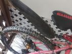 Phoenix Bicycle for sale