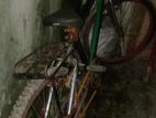 Bicycle for sell