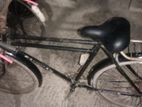 Phoenix Bicycle For Sale